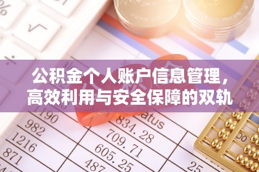 南长公积金个人账户信息管理，高效利用与安全保障的双轨并行