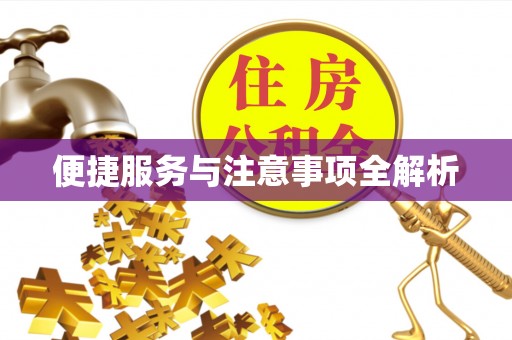 南长便捷服务与注意事项全解析