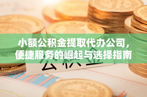 南长小额公积金提取代办公司，便捷服务的崛起与选择指南