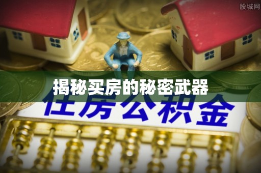 南长揭秘买房的秘密武器