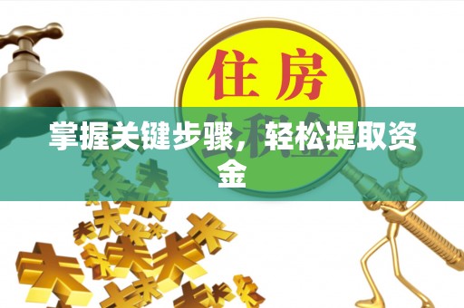 南长掌握关键步骤，轻松提取资金