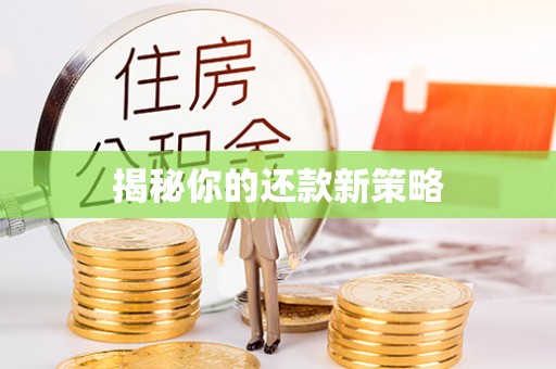 南长揭秘你的还款新策略