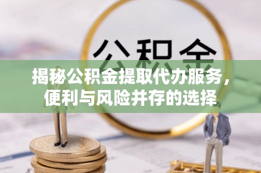 南长揭秘公积金提取代办服务，便利与风险并存的选择