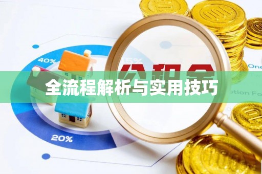 南长全流程解析与实用技巧