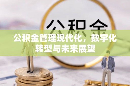 南长公积金管理现代化，数字化转型与未来展望