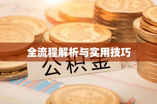 南长全流程解析与实用技巧