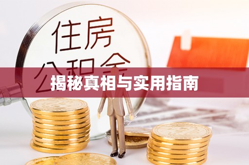 南长揭秘真相与实用指南