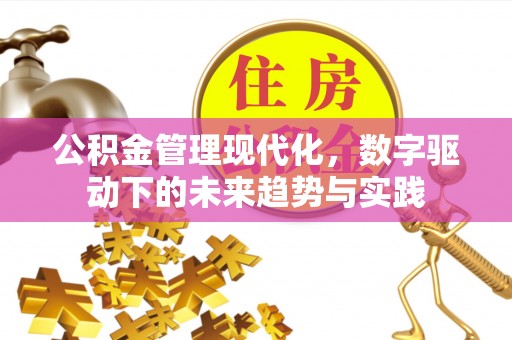 南长公积金管理现代化，数字驱动下的未来趋势与实践