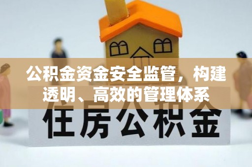 南长公积金资金安全监管，构建透明、高效的管理体系