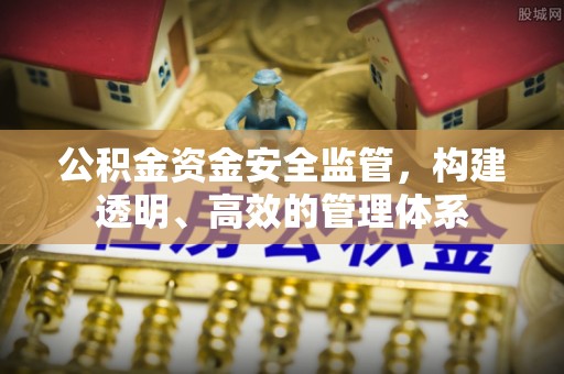南长公积金资金安全监管，构建透明、高效的管理体系