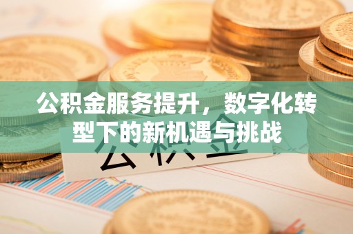 南长公积金服务提升，数字化转型下的新机遇与挑战