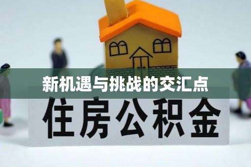 南长新机遇与挑战的交汇点