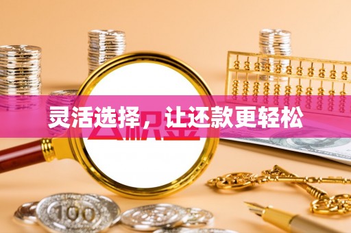 南长灵活选择，让还款更轻松