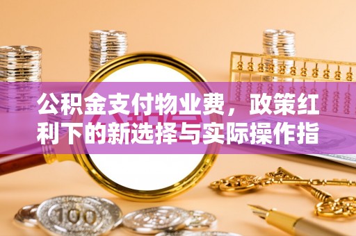 南长公积金支付物业费，政策红利下的新选择与实际操作指南