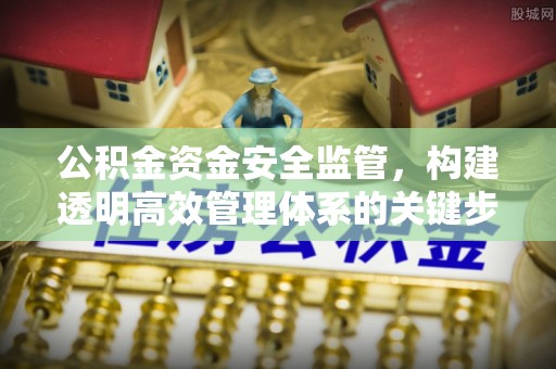 南长公积金资金安全监管，构建透明高效管理体系的关键步骤