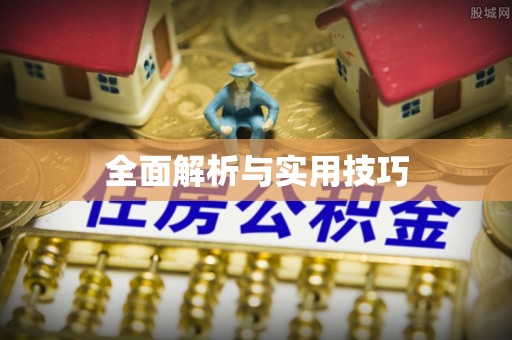 南长全面解析与实用技巧
