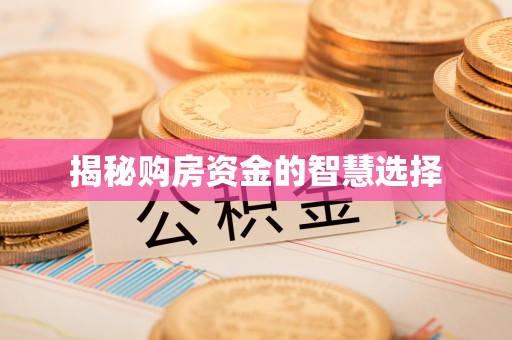 南长揭秘购房资金的智慧选择