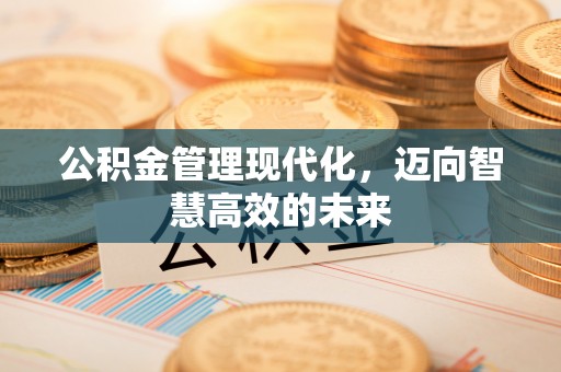 南长公积金管理现代化，迈向智慧高效的未来