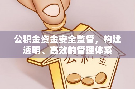 南长公积金资金安全监管，构建透明、高效的管理体系