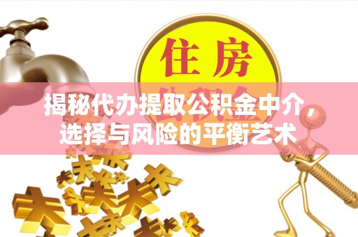 南长揭秘代办提取公积金中介，选择与风险的平衡艺术