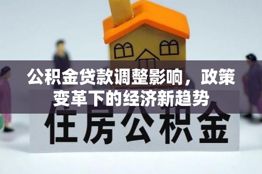 南长公积金贷款调整影响，政策变革下的经济新趋势