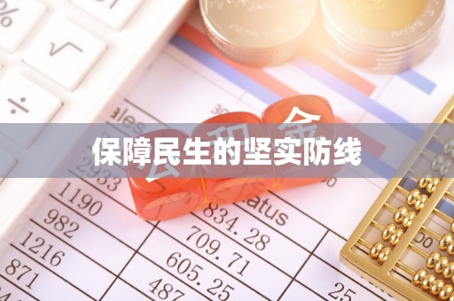 南长保障民生的坚实防线