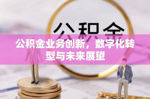 南长公积金业务创新，数字化转型与未来展望