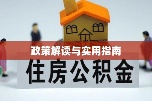 南长政策解读与实用指南