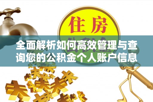 南长全面解析如何高效管理与查询您的公积金个人账户信息