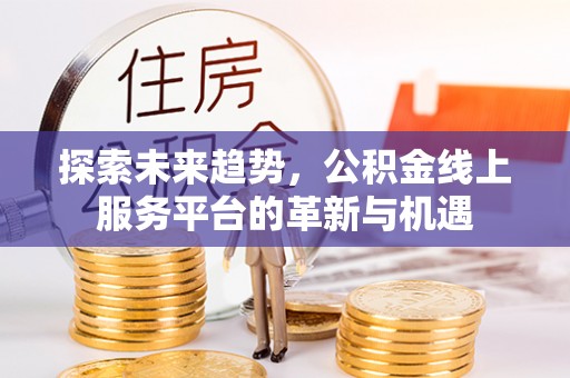 南长探索未来趋势，公积金线上服务平台的革新与机遇