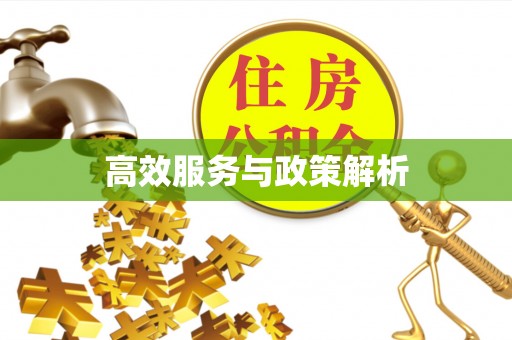 南长高效服务与政策解析