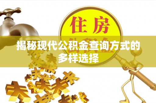 南长揭秘现代公积金查询方式的多样选择