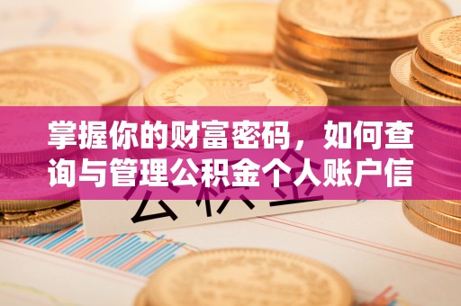 南长掌握你的财富密码，如何查询与管理公积金个人账户信息