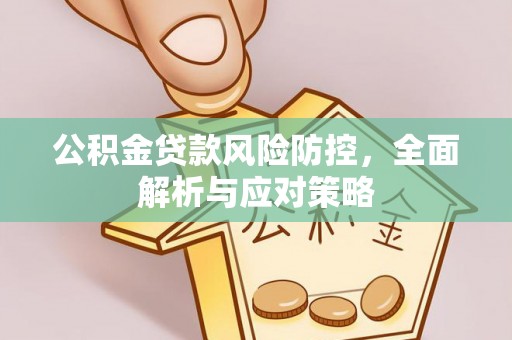 南长公积金贷款风险防控，全面解析与应对策略