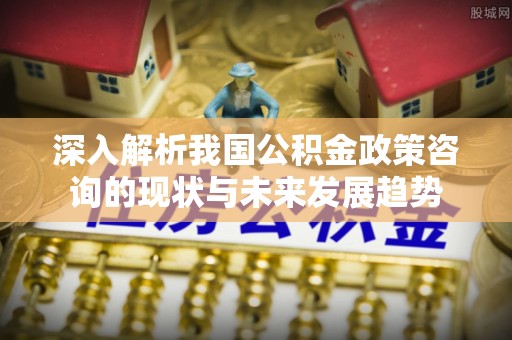 南长深入解析我国公积金政策咨询的现状与未来发展趋势