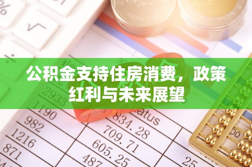 南长公积金支持住房消费，政策红利与未来展望