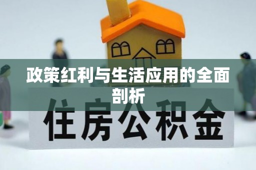 南长政策红利与生活应用的全面剖析
