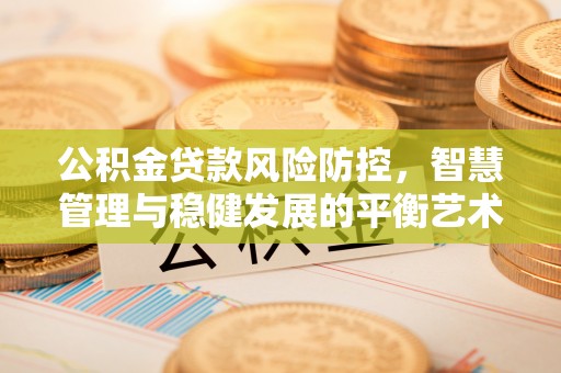 南长公积金贷款风险防控，智慧管理与稳健发展的平衡艺术