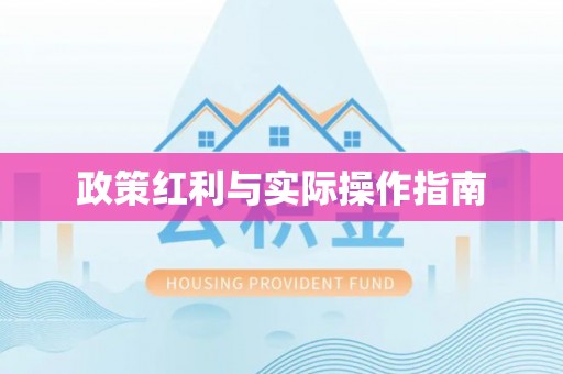 南长政策红利与实际操作指南