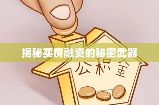 南长揭秘买房融资的秘密武器