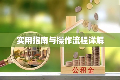 南长实用指南与操作流程详解