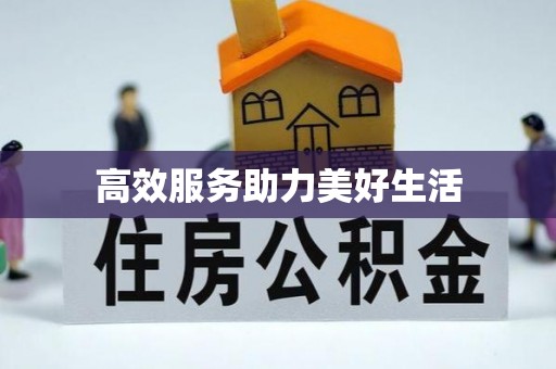 南长高效服务助力美好生活