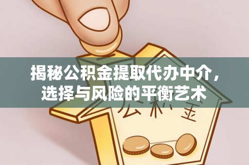 南长揭秘公积金提取代办中介，选择与风险的平衡艺术