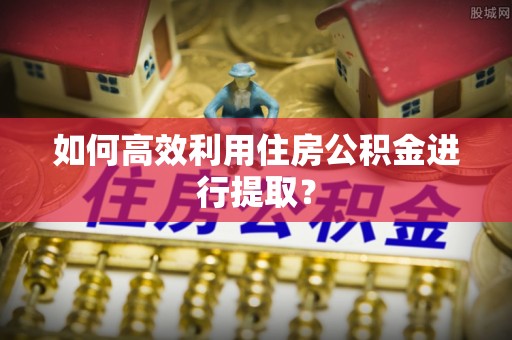 南长如何高效利用住房公积金进行提取？