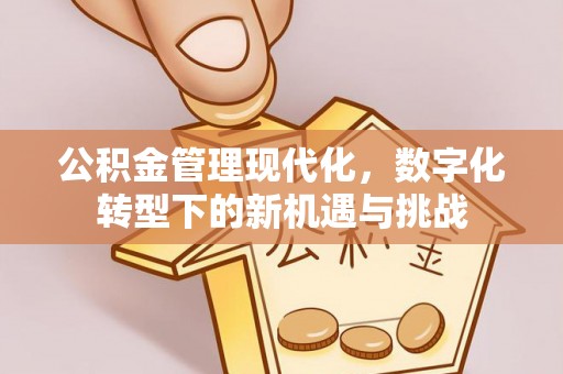 南长公积金管理现代化，数字化转型下的新机遇与挑战
