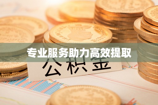 南长专业服务助力高效提取