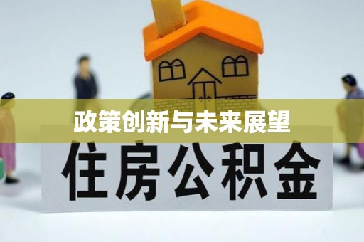南长政策创新与未来展望