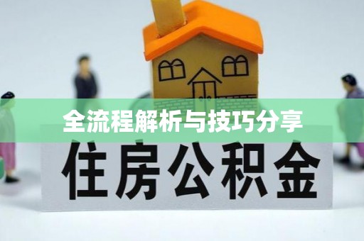 南长全流程解析与技巧分享