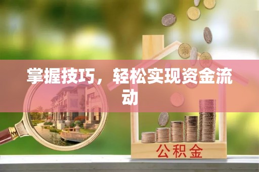 南长掌握技巧，轻松实现资金流动