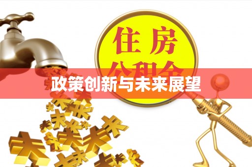 南长政策创新与未来展望